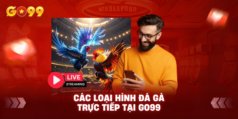 Các Loại Hình Đá Gà Trực Tiếp Tại Go99